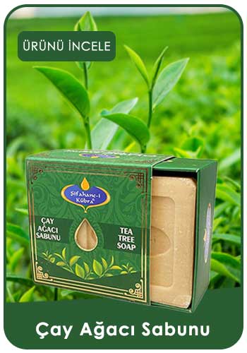 Çay Ağacı Sabunu