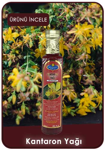 Kantaron Yağı