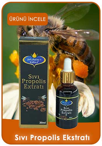 Sıvı Propolis